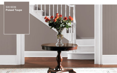 Sherwin Williams Color of the Year is…